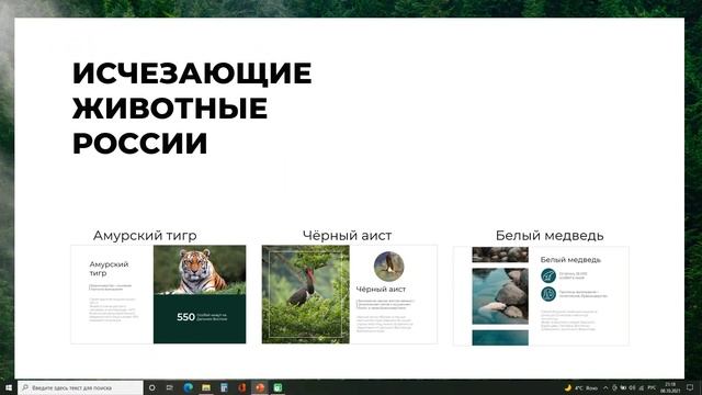 Эффект приближения в Power Point (Slide Zoom) смотреть онлайн