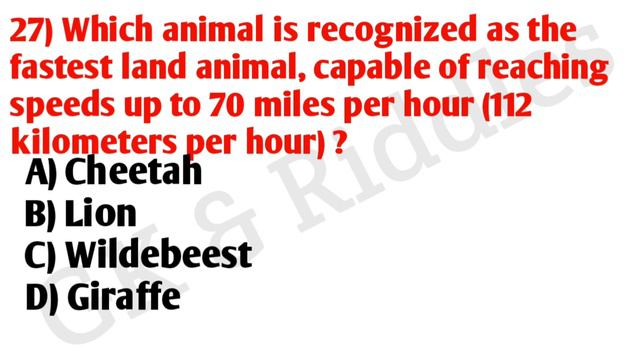 Gk Questions And Answers| Gk Key | Gk Quiz | Gk For Govt Jobs |  | Gk English | Indian Gk |