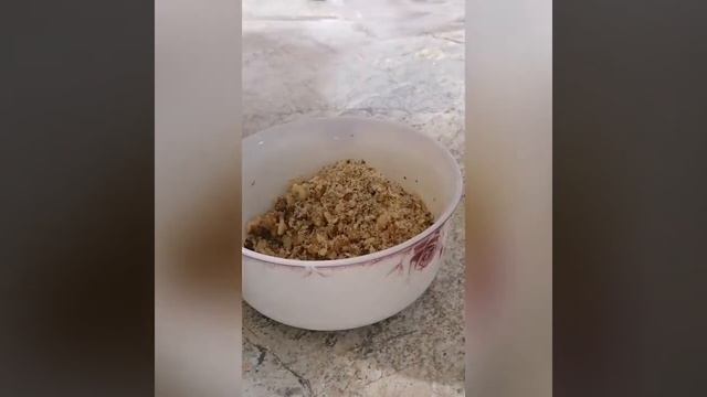 Печенье Гата смотреть онлайн