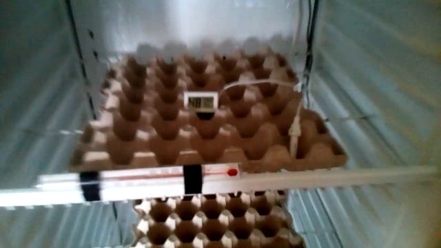 Хранение инкубационного яйца смотреть онлайн