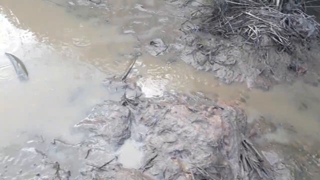 Khmer Technical Art- Kids catching fish very happy- Clever kids catch fish by hand смотреть онлайн