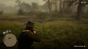 Каролинские попугаи RDR2 Дополнительное задание