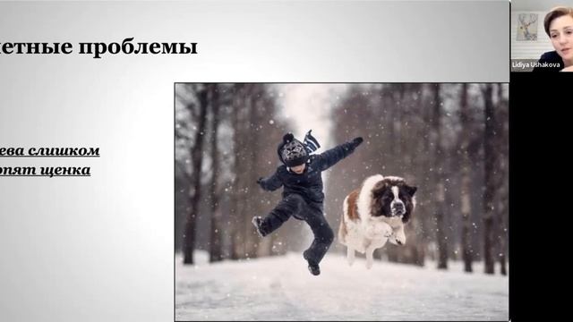 Причины туалетных проблем у собак. Часть 1. смотреть онлайн