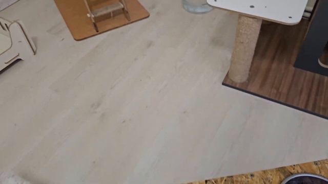 You will encounter cats in every corner of this house, even when you open the kitchen cabinet. смотреть онлайн