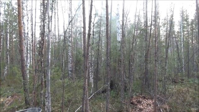 Бунгало после первой зимы. смотреть онлайн