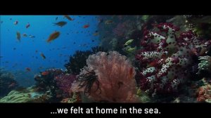 [♪] Down to Earth (from Pixar's «WALL•E») - Peter Gabriel