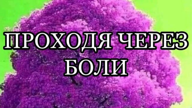 ПРОХОДЯ ЧЕРЕЗ БОЛИ ХРИСТИАНСКИЙ СТИХ смотреть онлайн