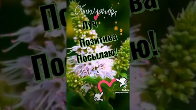 #здоровье #пожелания смотреть онлайн