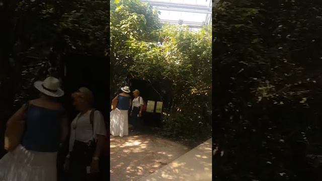 Парижский зоопарк 2018г.(1) смотреть онлайн