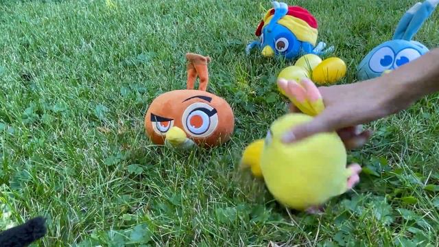 Angry birds plush series S3 Ep.8 Mistaken leaders смотреть онлайн