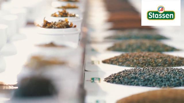 Stassen Tea Russian Version смотреть онлайн