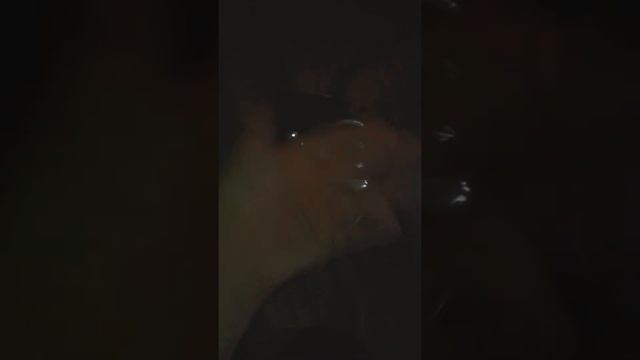 меня чуть не заразила маска анонимуса смотреть онлайн