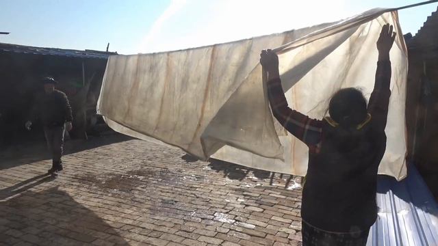 老爸滿意的給大哥介紹啥？素炒圓白菜蘸糕，苦重吃的多又香【泥土大黑】 смотреть онлайн