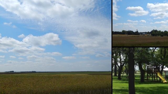 September 6, 2016/ Back to Our Roots - JAVA, SD смотреть онлайн