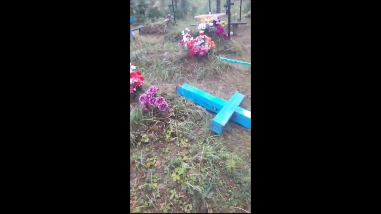 В Усть-Куломском районе вандалы разгромили кладбище смотреть онлайн