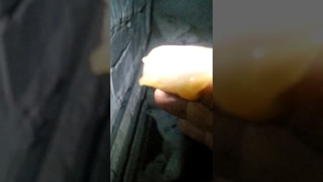контрактный шрус выдавило смазку из под пыльника трипоида. смотреть онлайн