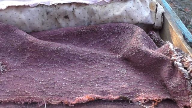 Первые заморозки. Клуб пчел. В каких ульях.