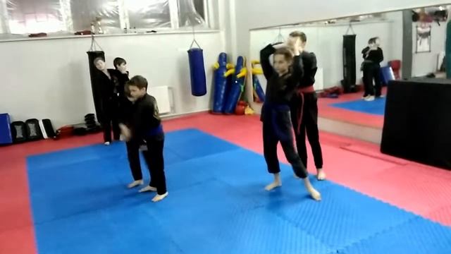 хапкидо тренировка смотреть онлайн