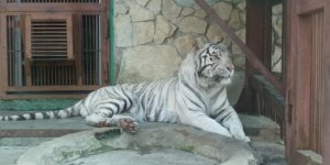 ЕКАТЕРИНБУРГСКИЙ ЗООПАРК.