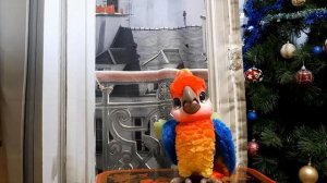 Игрушка ПОЮЩИЙ КЕША. Попугай-артист. FurReal