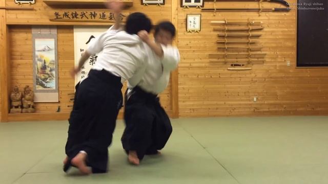 Beautiful Martial Arts - Aikido