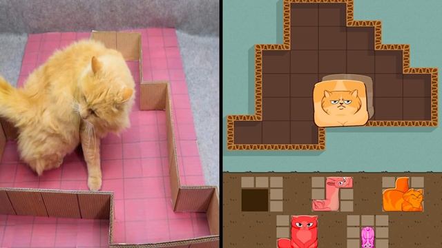 Puzzle Cats game vs Real Cats. DIY смотреть онлайн