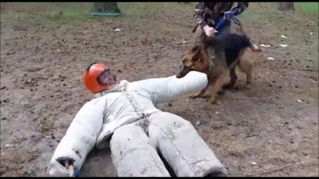 Рокки. Вертушка за руку. смотреть онлайн