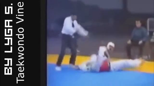 Taekwondo Vine №15