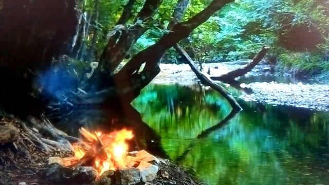 Стихотворение"О дружбе"??? смотреть онлайн