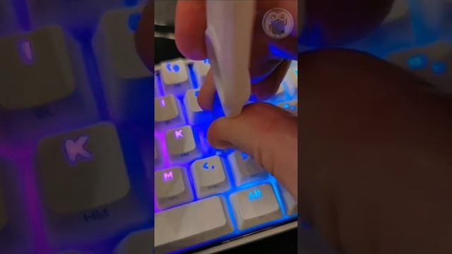 "Горячая замена" свитчей на механической клавиатуре KEMOVE DK61 Snowfox 60% #Shorts смотреть онлайн