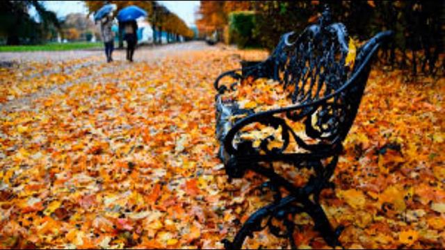 Ольга Негру"Мне мама говорила..." смотреть онлайн