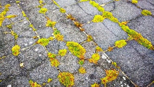 Шланг пропан-бутан * Furtun propan-butan смотреть онлайн