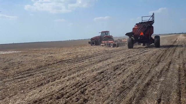 No-till. Посев горчицы желтой 2.05.2017 смотреть онлайн