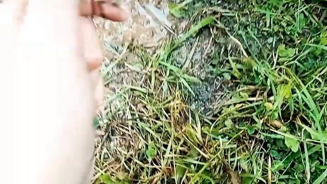 Пушистые Герои