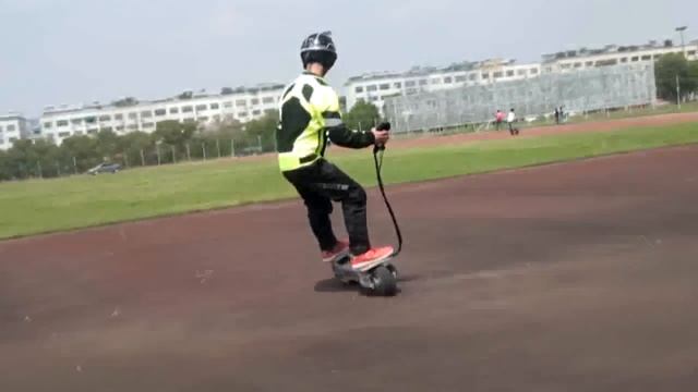 Wheelman King & Laomeiche-2014