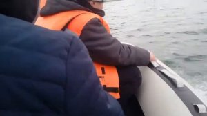 Лодка SMarine 330 НДНД