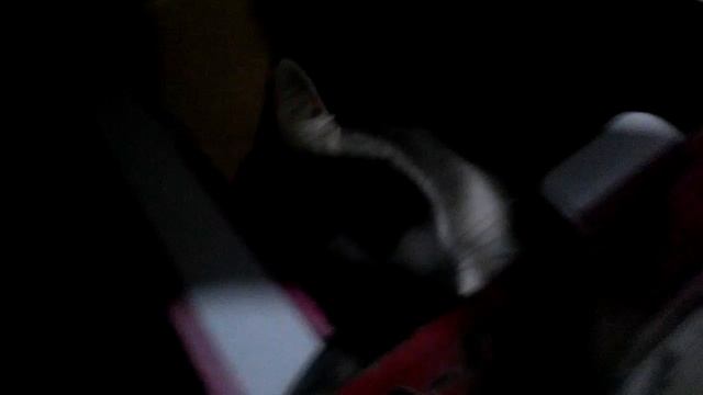 Неприступная башня смотреть онлайн