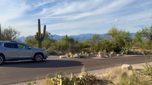 Гигантские кактусы сагуаро - самый настоящий дикий Запад