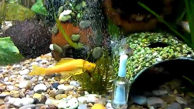 Трубка для подачи СО2 в аквариум. CO2 tube for aquarium. смотреть онлайн