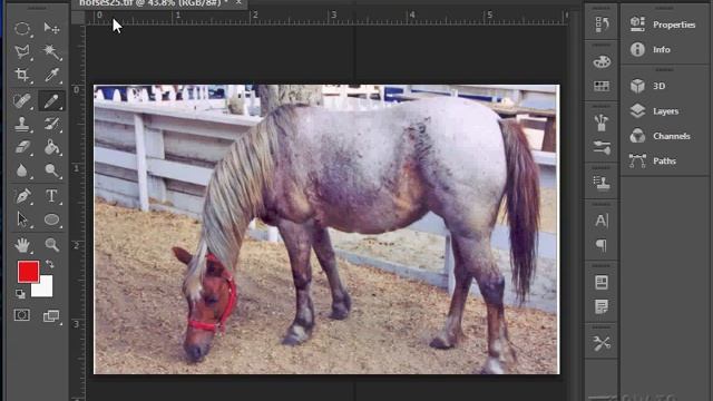 How to Use the Adobe Photoshop Paintbrush - CS5 CS6 CC Painting Tutorial смотреть онлайн