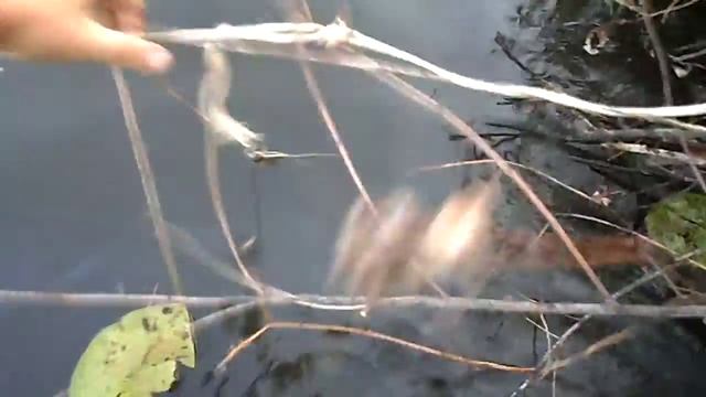 14 сентября 2014 г. р. Днепр. смотреть онлайн