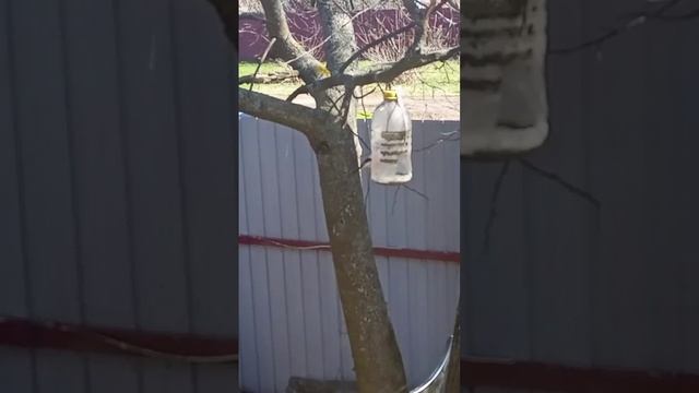 Снегири 1 мая смотреть онлайн