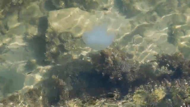 Ах море ты, море смотреть онлайн