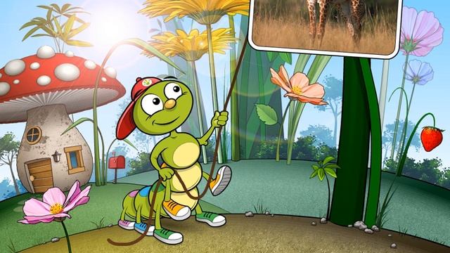 Bugs Team 1 - Colin's Cards - Unit 4