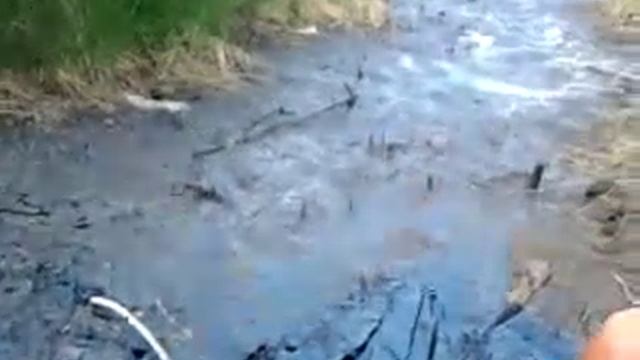 Собака по шею увязла в мазуте.. смотреть онлайн