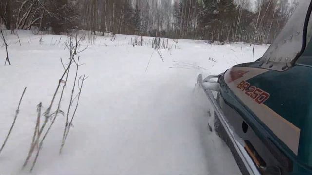 Делаем лыжню в лесу. Борона и снегоход в действии смотреть онлайн