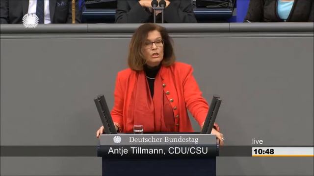 Antje Tillmann über die unrealistischen Finanzpläne der AfD смотреть онлайн