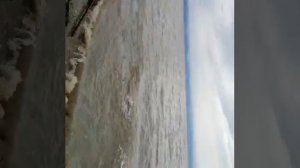 Охотское море, Чумикан. Рыбалка кастинговой сетью