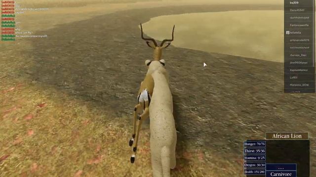 обучение о дикой саванне в роблокс! Wild savanna Roblox. смотреть онлайн
