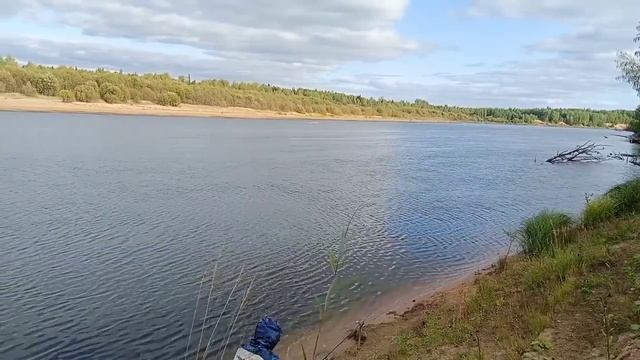 В поисках удачи! Ушли к таёжной реке. смотреть онлайн